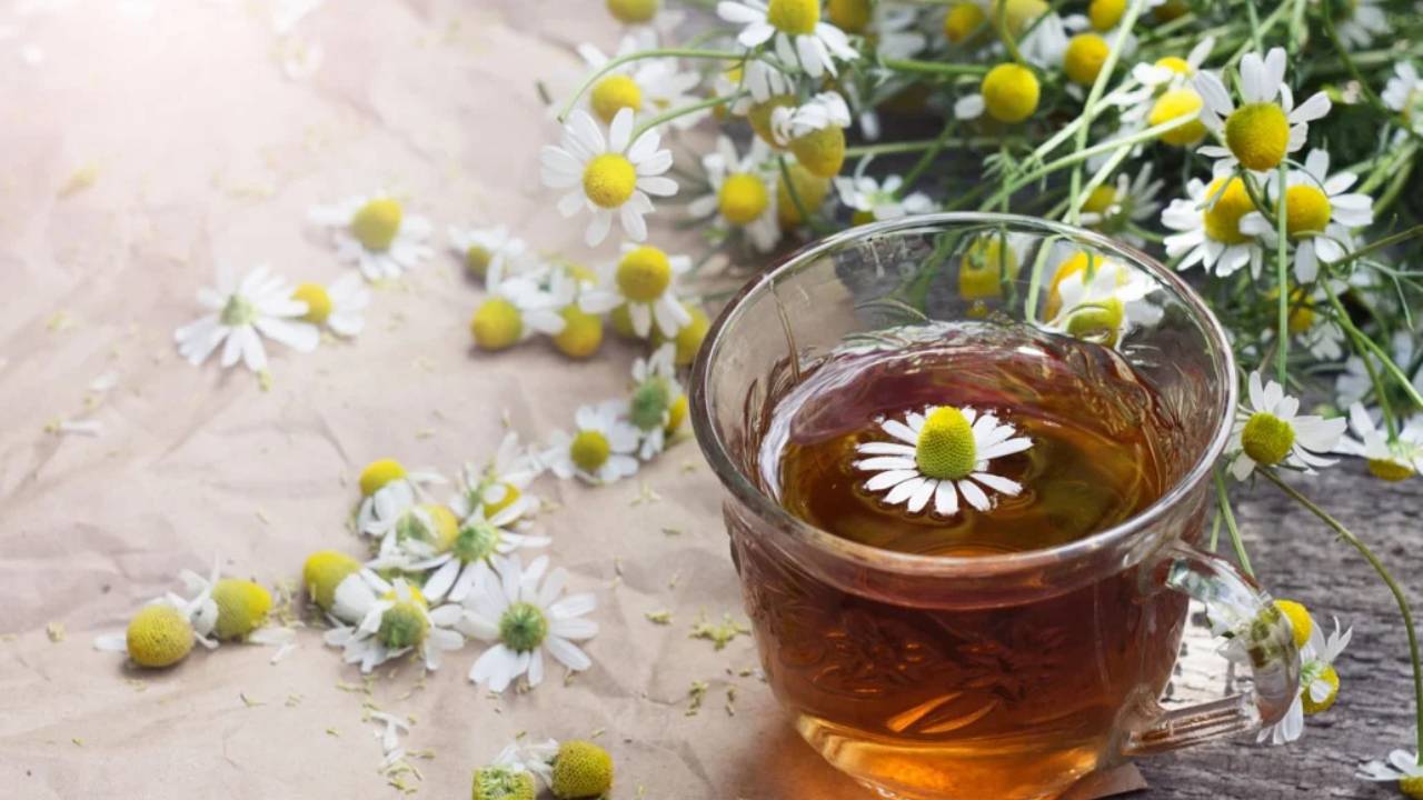 Chamomile flowers, traditionally used for their anti-inflammatory properties.